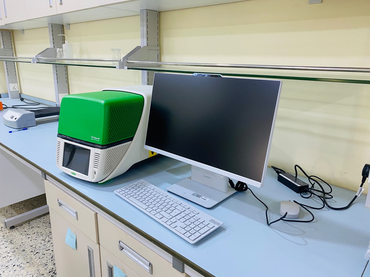 CFX Opus 96 real time PCR system